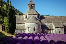 photo of Abbey of Senanque