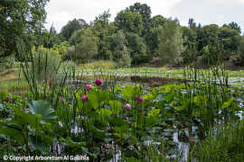 photo of Arboretum Al Gaulhia