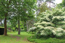 photo of Arboretum des Grandes Bruyeres