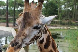 photo of Arcachon Zoo