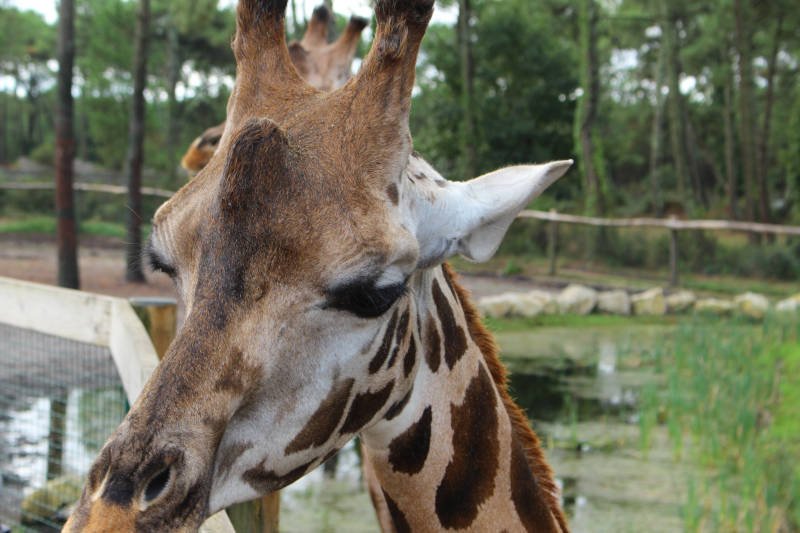 Photo of Arcachon Zoo