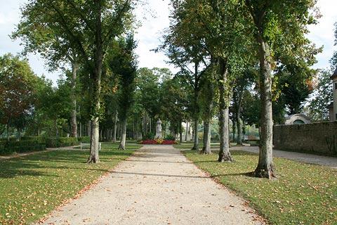 Trees in Parc Buffon