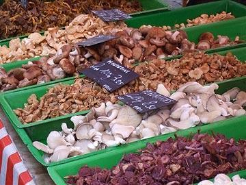 regional mushroom market in France