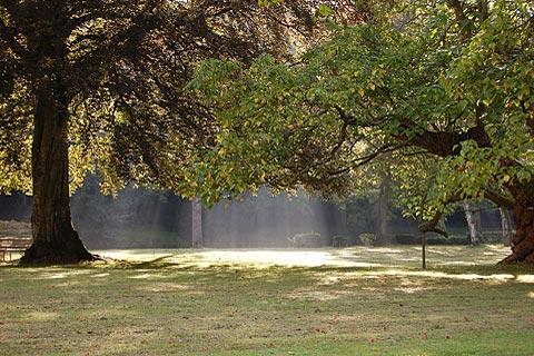 Sunrise in the village