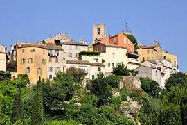 photo of Biot