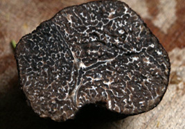 cross-section of a black truffle