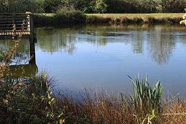 photo of Brenne Regional Natural Park