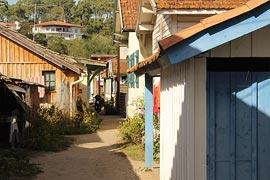 photo of Le Canon and l'Herbe