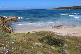 photo of Capo-di-Feno