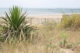 photo of Carnac Plage