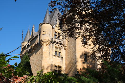 Castle in the village of Saint-Leon-sur-Vézère