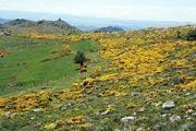 Cevennes National Park