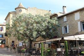 photo of Chateauneuf-du-Pape