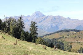 photo of Col d'Aspin