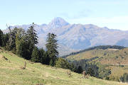 Col d'Aspin