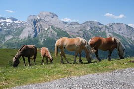 photo of Col d'Aubisque