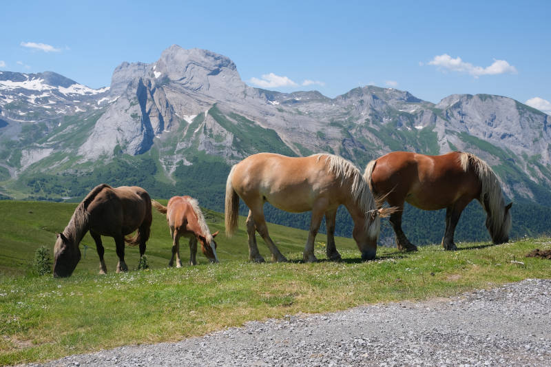 Photo of Col d'Aubisque