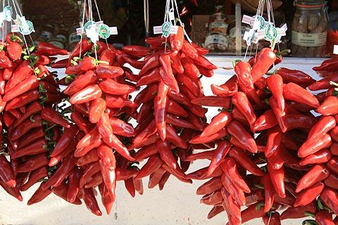 chillies drying in Espelette
