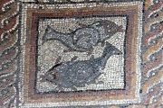 Fish Mosaic In Baths Fish Mosaic In Baths