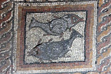 Fish mosaic in Montcaret villa baths
