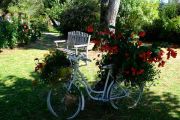 Flowering Bike