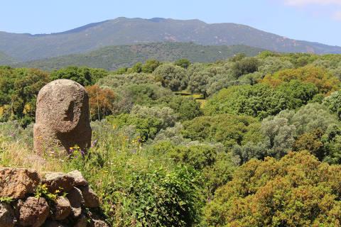 Prehistoric site in France