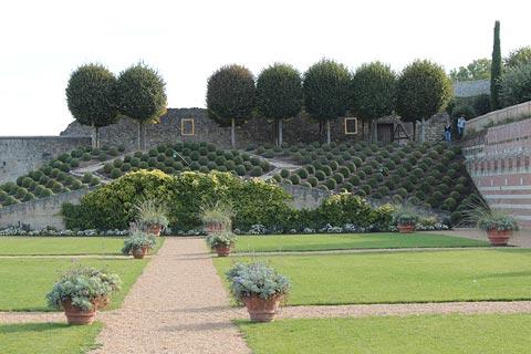 Gardens of the Chateau d'Amboise