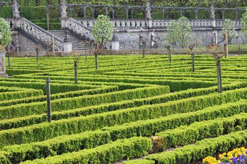 The formal gardens at Villandry