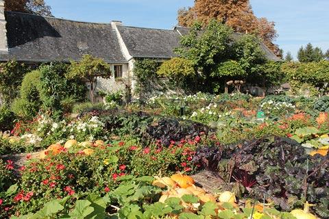 Potager in the courtyard of Chateau du Rivau
