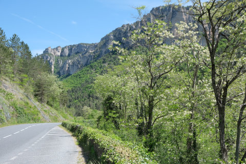 Scenery in Gorges du Tarn