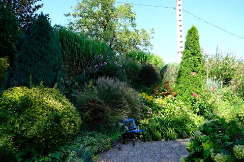 grasses in the Jardin de la Ferme Fleurie