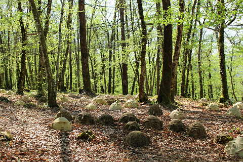 Jardins de Marqueyssac