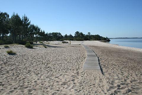 Beach at Hourtins