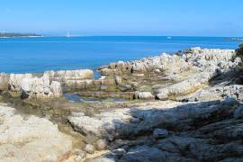 photo of Ile Saint-Honorat