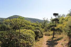 The Jardins de l'Albarede