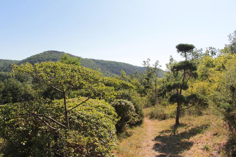 Photo of The Jardins de l'Albarede