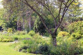 photo of Le Jardin de Liliane