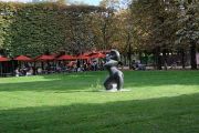 Jardin Des Tuileries 2