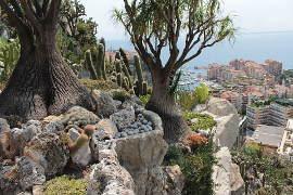 photo of The Jardin Exotique de Monaco