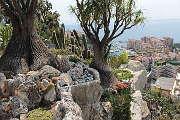 The Jardin Exotique de Monaco