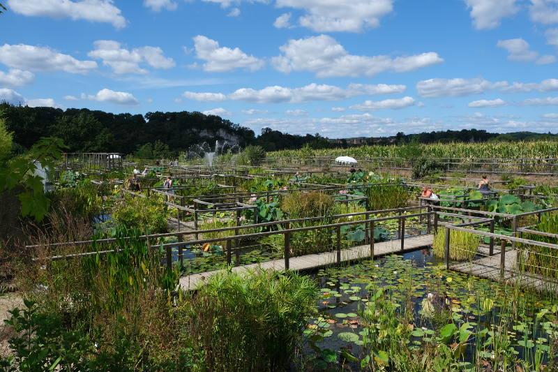 Photo of Les Jardins d'eau