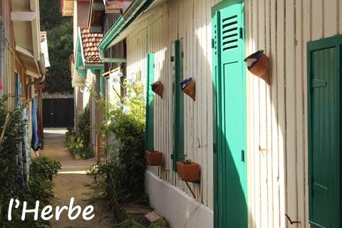 L'Herbe village on Cap Ferret