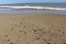 photo of La Faute-sur-Mer