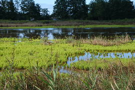 photo of La Teste de Buch salt flats