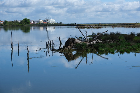 La Teste pres salés