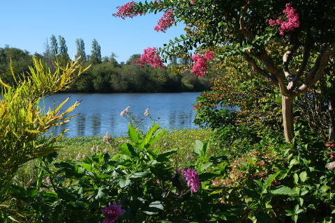 Promenade fleurie near Mimizan