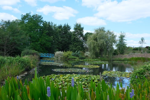 Pond of the water gardens of Carsac-Aillac