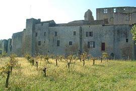 photo of Larressingle