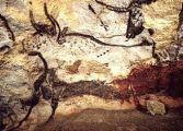 Lascaux Bison