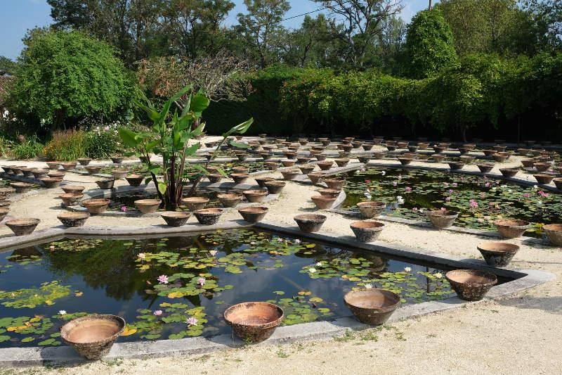 Photo of Latour-Marliac waterlily garden